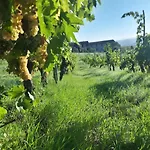 Casa vacanze Fattoria Le Caprine