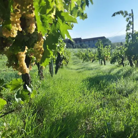 Casa vacanze Fattoria Le Caprine