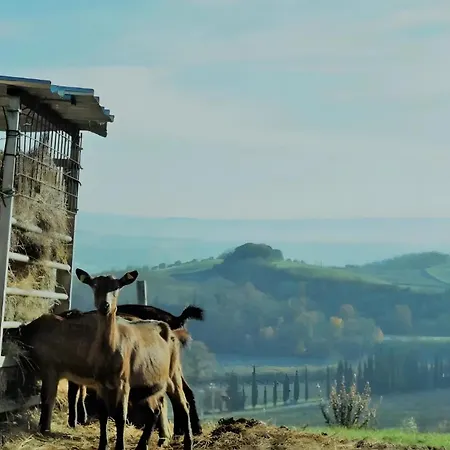 Fattoria Le Caprine Casa vacanze *